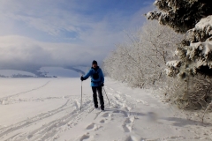 DSCF1346-001