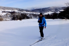 DSCF1364-001