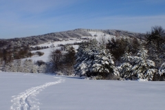 Werchowaniec (688 m.n.p.m.)