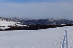 DSCF1448-1