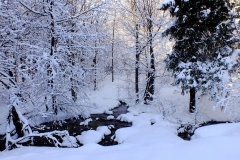 DSCF1455
