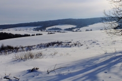 Czeremcha.
