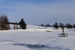 Ożenna.