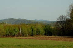 Pogórze Dynowskie - pasmo Jazowej a w oddali Sucha Góra i Królewska Góra. Widok z Chytrówki.
