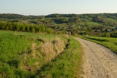 Gościniec powyżej Stępiny.