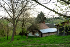 Pułanki.