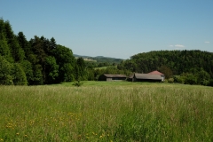 DSCF6754