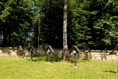 DSCF6761