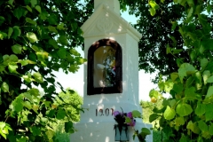 DSCF6769