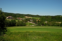 DSCF6775
