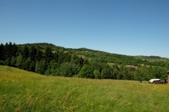 DSCF6807