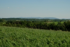 DSCF6808