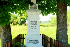 DSCF6841-001