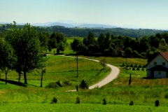 DSCF6848