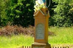 DSCF6850