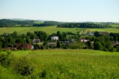 DSCF6860