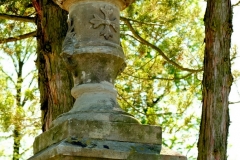 DSCF6884