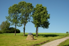 DSCF6951