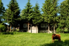 DSCF6955