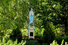 DSCF6968
