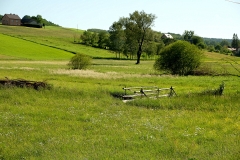 DSCF6973