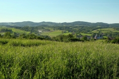 DSCF7024-001
