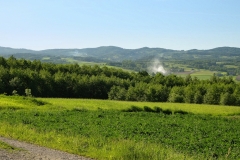DSCF7026