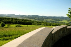 DSCF7040