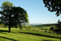 DSCF7056