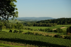 DSCF7057-001