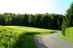DSCF7059