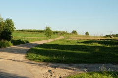 DSCF7066