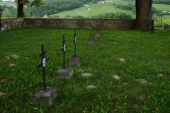 DSCF7117-001