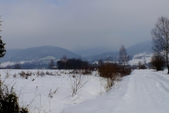 Widok na Wysową.