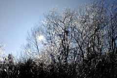 DSCF2059