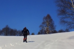 DSCF2071