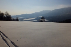 DSCF2075