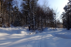 DSCF2080