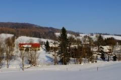 Blechnarka.