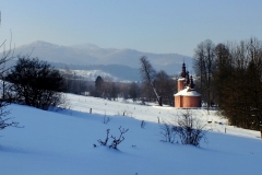 Widok na cerkiew w Blechnarce.