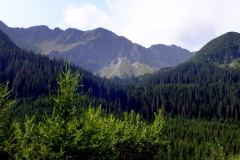 DSCF0704