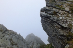 DSCF0843