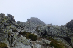 DSCF0863-001