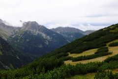 DSCF1059
