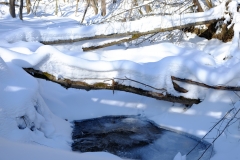 Świerzówka.