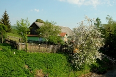 DSCF5410