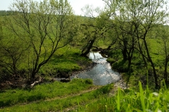 DSCF5437