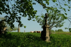 Cmentarz łemkowski w Ożennej.