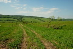 Widok na Czeremchę.
