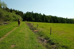 DSCF5520